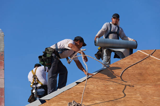 Best Local Roofing Companies  in Lucedale, MS