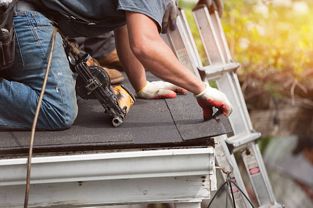 Best Emergency Roof Repair  in Lucedale, MS