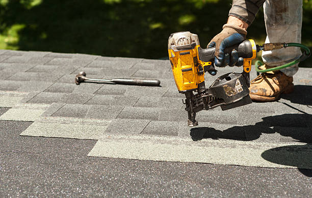 Best Roof Gutter Cleaning  in Lucedale, MS